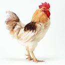 경희지행한의원 이미지