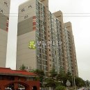 월계천길 Daum카페