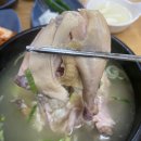 수원화성행궁 행궁동 통닭거리 백숙맛집 수원삼계탕 주차