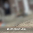 상덕농장 이미지