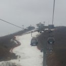 자미원순대