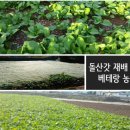 현옥농장 이미지