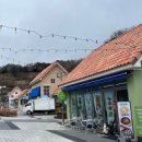 한국차문화공원 | 🌿 보성 여행_한국차문화공원, 사계절 초록빛을 품은 실내정원과 숲길 산책
