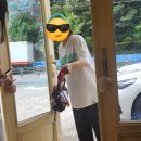멍뭉이샵 이미지