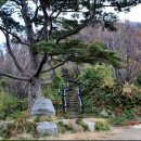 울릉도 2박3일여행 /2일째~