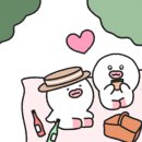 땡자애견 이미지