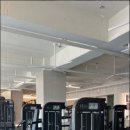 오빠네피티샵 이미지