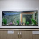 서울수족관 - 남원시 용성로 88 | 서울수족관