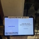 댕댕특별시 | 경복궁 댕댕런 후기 경복궁 러닝 할 거면 제발 북촌 뉴발 방문하기