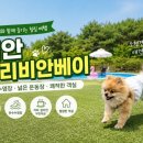 개리비안베이