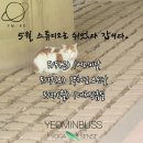 요가(여) 이미지