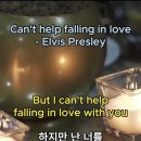 Can't help falling in love - Elvis Presley 팝송500곡외우기 이미지