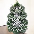 쌍용자동차북광주정비사업소(주) 이미지