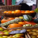 샤인원의원 이미지