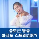 요가스트레칭 이미지