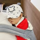 제주가족사랑카시트 네이버블로그