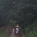 밥이조아 이미지