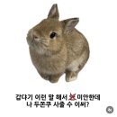 본도시락 하남미사점 | 시에 연말세일, 라라스윗 저당팝콘, 존앤맷타코 미사본점, 팔레트디저트 두쫀쿠, 무이스튜디오 앨범수령)