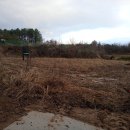 강가농장 이미지