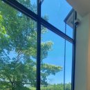 포레드노드 이미지