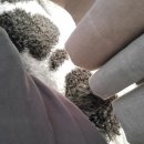 늘품로3 이미지