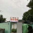 영대백숙