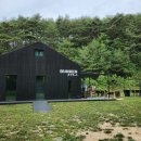 벙커475-1 이미지