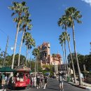 Show Dog | 올랜도 디즈니월드 할리우드스튜디오 어트랙션 판타즈믹 신혼여행 후기