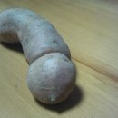 나온농장 이미지