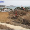 천안공주낙농축산업협동조합 이미지