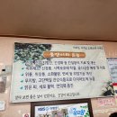 금강올갱이 이미지