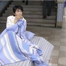 노세노세 이미지