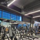 매드짐 이미지