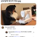 방배로19길 63 이미지