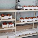 들말농장 이미지