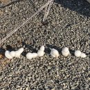 아담펜션&캠핑장 이미지