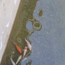 제육대가(상인점) | 강화도 2박 3일 여행