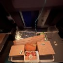 [SAS 항공 후기] 스칸디나비아 항공 한국 직항 이코노미 솔직 탑승기 — 2026년 4월 탑승