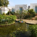 하이사우나 이미지