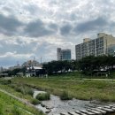 미니스톱 난지2점 이미지