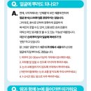 고운피부앤플러스 | 데이앤블루 UV 선미스트 후기｜간편하게 뿌리는 자외선 그늘막