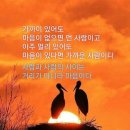 이범용&한명훈/ 꿈의 대화 이미지