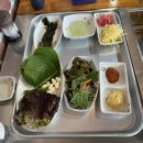 검배로59번길 | 경기 구리] 구리 주민이 추천하는 소고기와 장어 둘 다 먹을 수 있는 장어 맛집 력장어 내돈내산 추천 후기