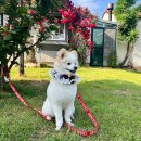 루이앤코코 이미지