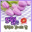 김해커먼레일 이미지