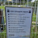 춘천시동물보호센터 | 낯가림 강아지에게 천국!춘천 동물보호센터 ‘같이놀개’