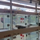 짱구 애견 하우스 이미지