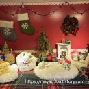 대성프라자 | 성수 산리오캐릭터즈 크리스마스 팝업 평일 웨이팅 후기!