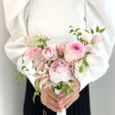 벨로아피오리 이미지