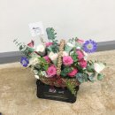 리코플레르